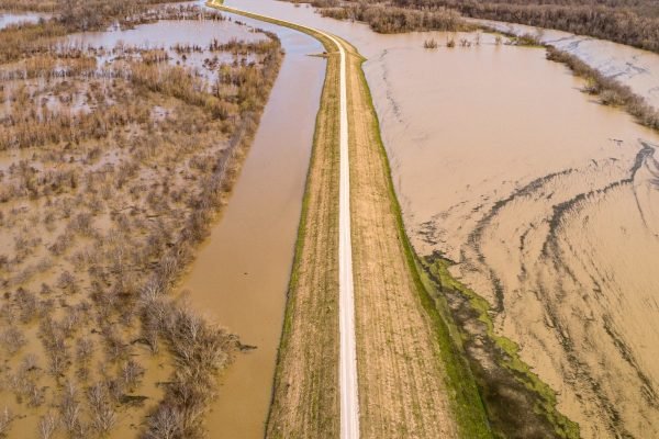 flood insurance